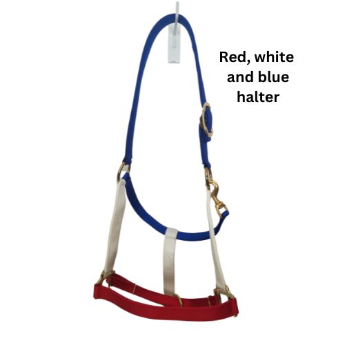Horse Halter, Solid Color Webbing, Choice of Brass or Nickel Hardware. 1" Wide, 3 Ply Nylon Webbing.  by Thriving Pets International