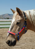 Personalized Horse Halter, Solid Color Webbing, Choice of Brass or Nickel Hardware. 1" Wide, 3 Ply Nylon Webbing. 14 Color Options, by Thriving Pets International