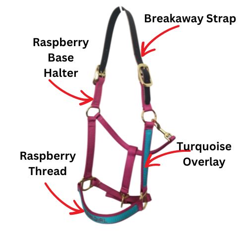 Personalized Breakaway Horse Halter, Solid Color Webbing, Choice of Brass or Nickel Hardware. 1