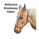 Personalized Horse Evacuation Identification Halter made with Reflective Orange Nylon Webbing, Embroidered Telephone Number, Breakaway Head Strap by Thriving Pets International