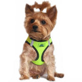 American River Sport  and Top Stitch Dog Choke Free Harnesses
