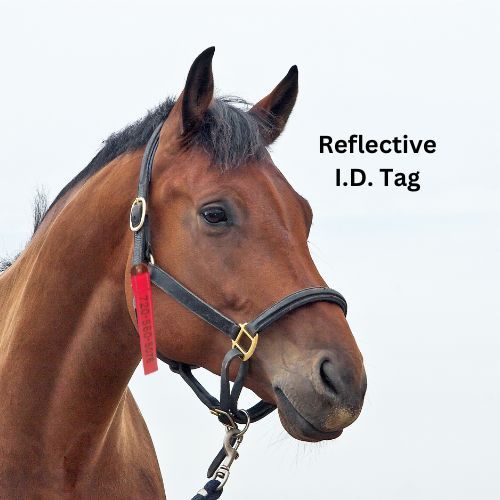 Personalized Horse Evacuation Identification Tag; Reflective Orange Nylon Webbing; 1 inch Wide, 9 inches Long; Embroidered Phone Number, by Thriving Pets International