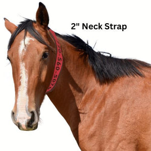 Personalized Horse Evacuation Identification Neck Strap; 2 inch wide Bright Orange Nylon Webbing; 2 inch by 4 inch Velcro "breakaway" connection; Embroidered Phone Number, by Thriving Pets International