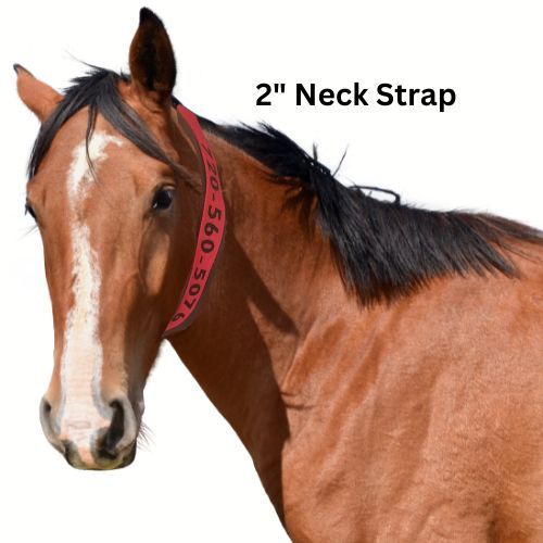 Personalized Horse Evacuation Identification Neck Strap; 2 inch wide Bright Orange Nylon Webbing; 2 inch by 4 inch Velcro 