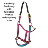 Personalized Breakaway Horse Halter, Solid Color Webbing, Choice of Brass or Nickel Hardware. 1" Wide, 3 Ply Nylon Webbing. 14 Color Options, by Thriving Pets International