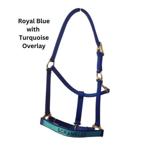Personalized Horse Halter, Solid Color Webbing, Choice of Brass or