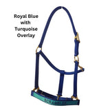 Personalized Horse Halter, Solid Color Webbing, Choice of Brass or Nickel Hardware. 1" Wide, 3 Ply Nylon Webbing. 14 Color Options, by Thriving Pets International