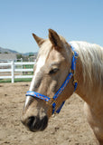 Designer Pattern Horse Halters; Choice of Brass or Nickel Hardware. 1" Wide Nylon Webbing, 8 Color Options;  By Thriving Pets International